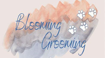 Booming Grooming Logo